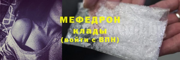 индика Богданович