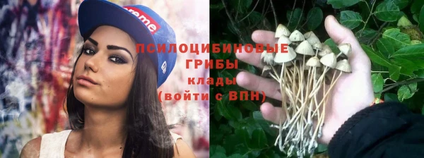 jwh Лиски