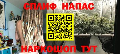 молекула духа Кандалакша