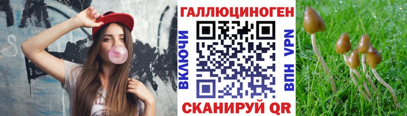 Псилоцибиновые грибы Magic Shrooms  что такое наркотик  hydra онион  Новокузнецк 