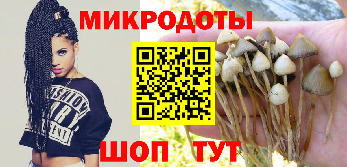 Галлюциногенные грибы мицелий  Вход с VPN  Новокузнецк 
