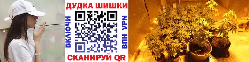 Канабис THC 21%  Новокузнецк 